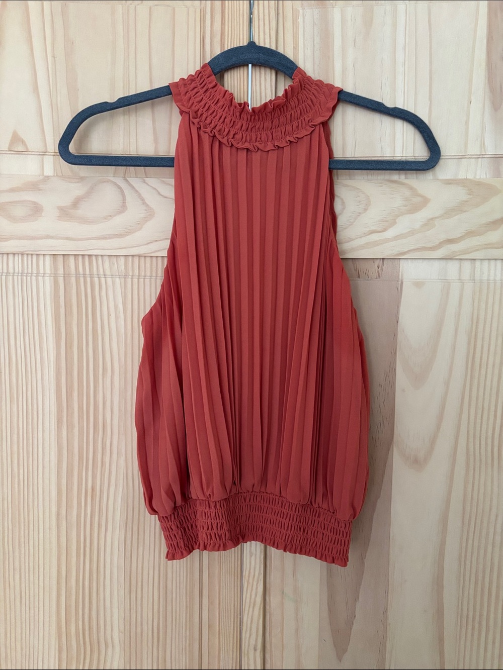 Naked Zebra Rust Red Pleated Halter Top